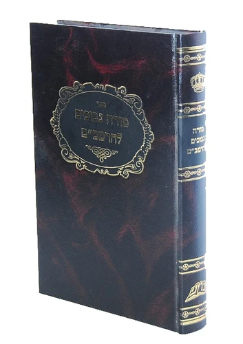מורה נבוכים להרמב