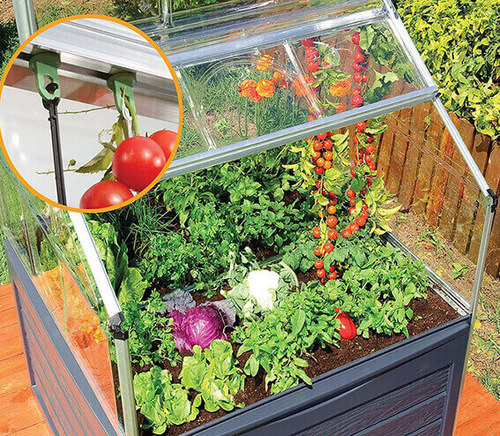 חממה ביתית מיני Plant-inn 1.2x1.2 