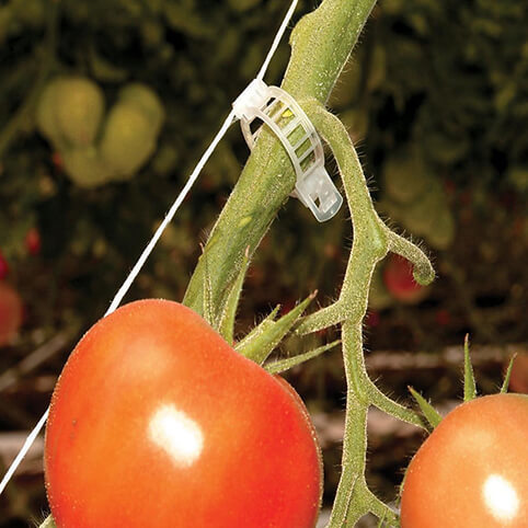 ערכת הדלייה לחממה ביתית