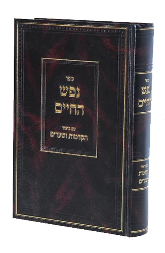 נפש החיים הרב חיים מוולוז'ין