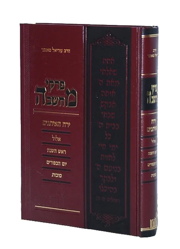 פרקי מחשבה / הרב עזריאל טאובר I הכנה לימים הנוראים
