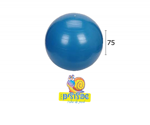כדור פיזיו 65  ס