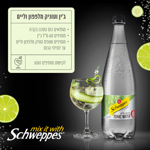 מארז קוקטיילים המכיל 2 בקבוקי טוניק בטעמים, שייקר, ג'יגר, כוס וכפית ערבוב