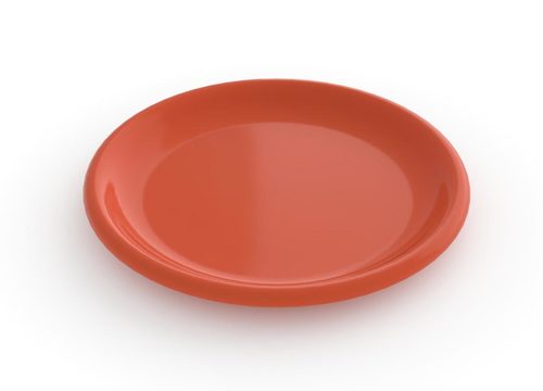 צלחת פלסטיק שטוחה קוטר 23 ס