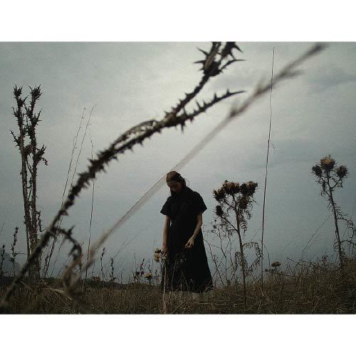 סרט פילם דיגיטלי עבור Yashica Y35- 1600