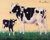 פאזל כפתורי עץ 11 חלקים אמהות וגורים - פרות (מצולם)