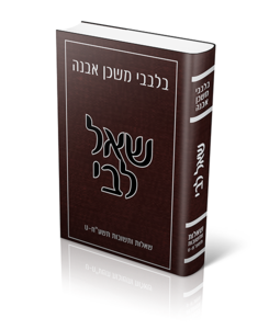 שאל לבי בלבבי משכן אבנה