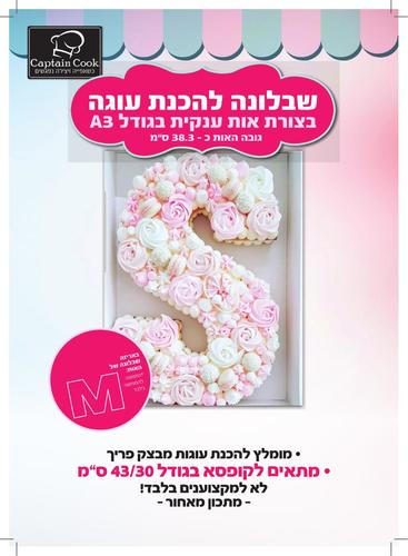 שבלונה מפלסטיק לעוגה בגודל A3 האות M באנגלית