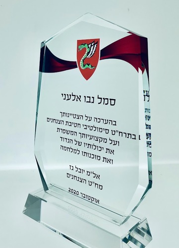 מגיני הוקרה לכוחות הבטחון