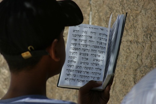 מה ההבדל בין סידור לתהילים