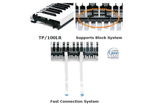פסנתר חשמלי P200 בצבע לבן כולל סטנד U ושלישיית פדלים מבית Pearl River 