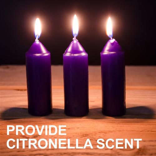 CITRONELLA CANDLES - 3 PACK