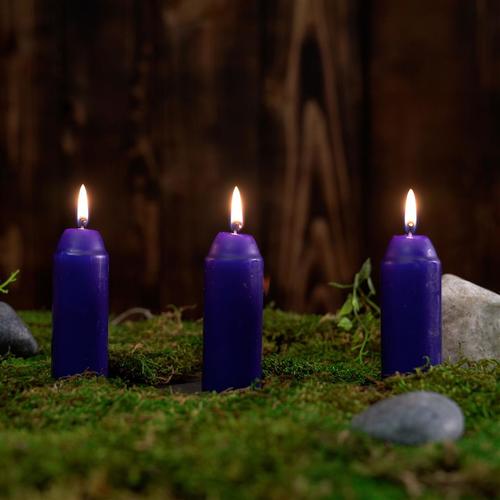 CITRONELLA CANDLES - 3 PACK