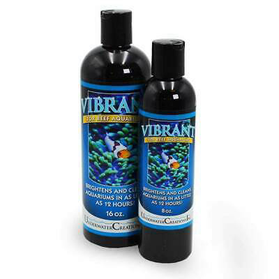 ויברנט Vibrant -מחסל אצות בריף 500 מ”ל