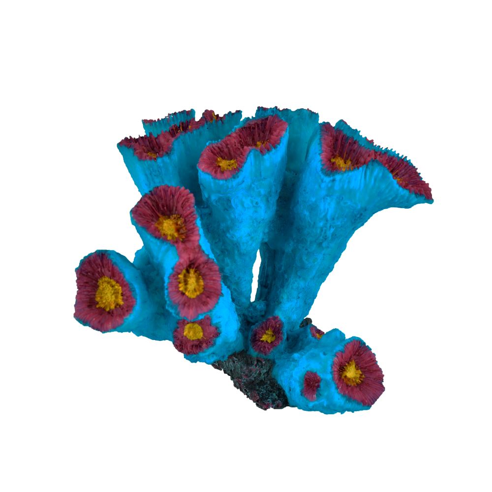 HCL  037B
