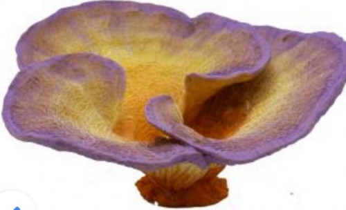 SH 471