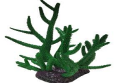 SH 051