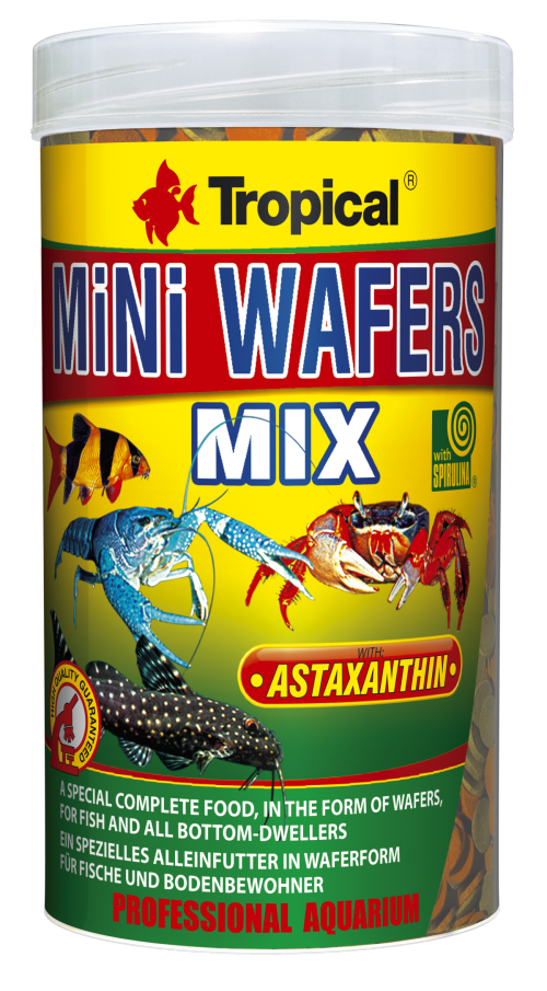 מזון טבליות שוקע 250 מ”ל Tropical Mini Wafers Mix 