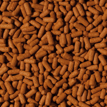 מזון ציקליד וארואנה 1000 מ”ל Tropical Cichlid & Arowana Sticks 