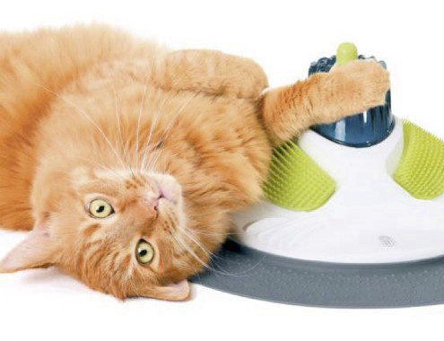 מכשיר עיסויים CAT IT