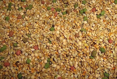 פרסטיג' תערובת זרעים פרימיום לפינקים PRESTIGE FINCHES