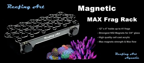 מדף פראגים מגנטי Reefing Art Magnetic Coral Frag Rack L  