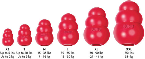 KONG CLASSIC L