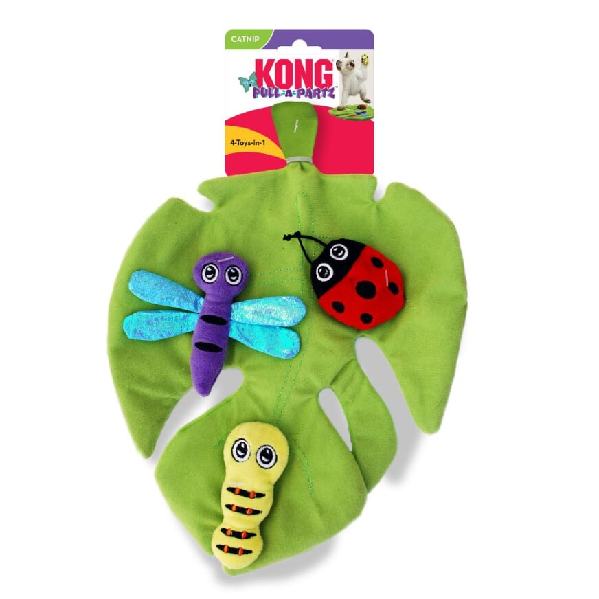 משטח משחק 3 חלקים לחתול חרקים KONG