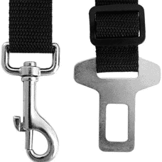 חגורת בטיחות לכלב