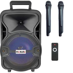 בידורית "12 Proaudio SKL-314B