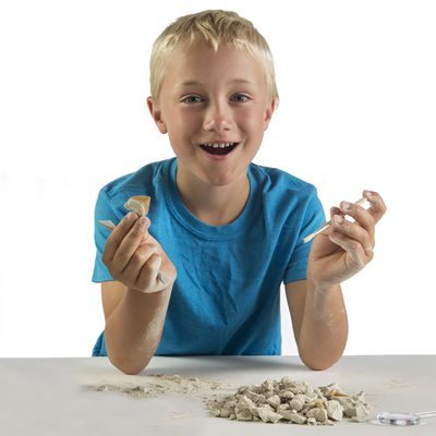 ערכת חפירה וארכיאולוגיה – שיני כרישים בית נשיונל ג'יאוגרפיק NATIONAL GEOGRAPHIC