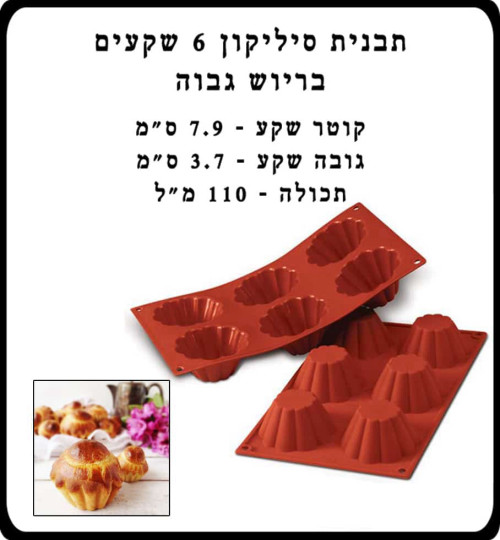 תבנית סיליקון 6 שקעים בריושים