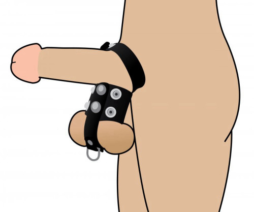 טבעת זקפה עם חובק לאשכים Cock Strap and Ball Stretcher