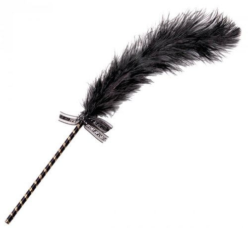 נוצת עינוג ייחודית  XR BRANDS - Frisky Feather Tickler