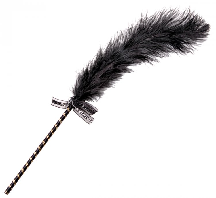 נוצת עינוג ייחודית XR BRANDS - Frisky Feather Tickler
