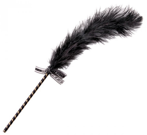 נוצת עינוג ייחודית  XR BRANDS - Frisky Feather Tickler