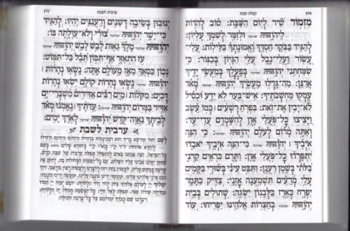 סידור מהודר מעור כוונת הלב עם טס פלקטה (L)