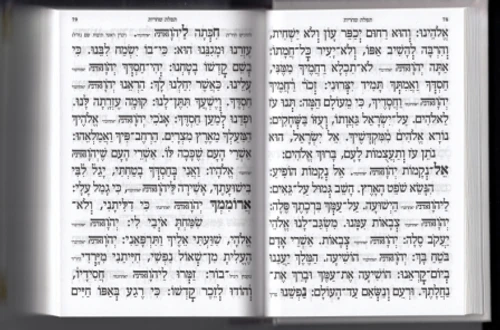 סידור מהודר מעור כוונת הלב עם טס פלקטה (L)