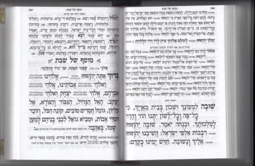 סידור מהודר מעור כוונת הלב עם טס פלקטה (L)
