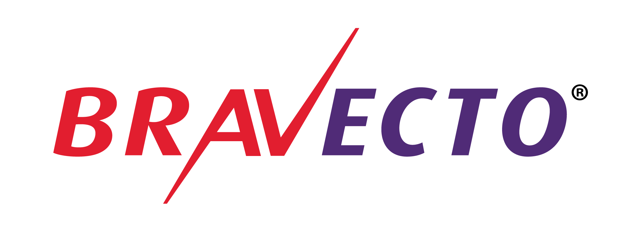 ברבקטו - ברקבקטו לכלב ברבקטו לחתול bravecto