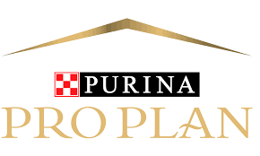 Pro Plan