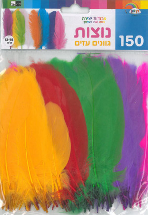 מארז 120 נוצות בגוונים עזים