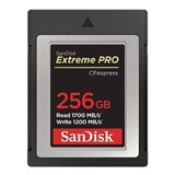 כרטיס זיכרון SanDisk 256GB Extreme PRO CFexpress Card Type B