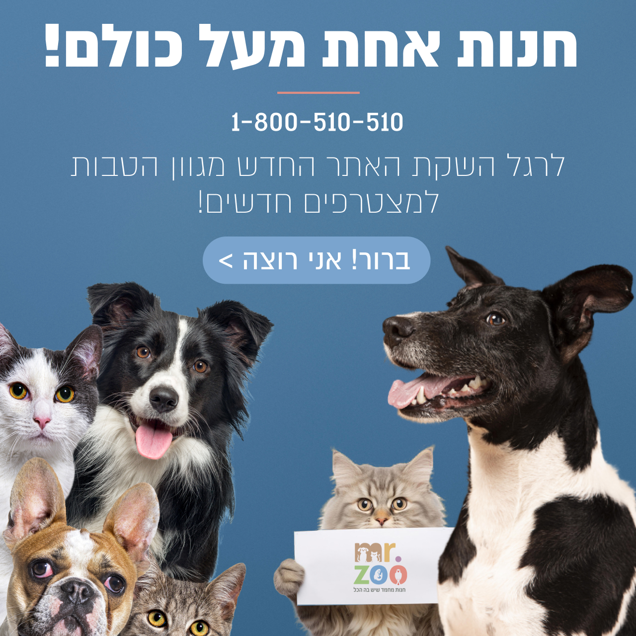 חנות חיות בפתח תקווה עם מגוון מוצרים לכלבים חתולים ובעלי חיים