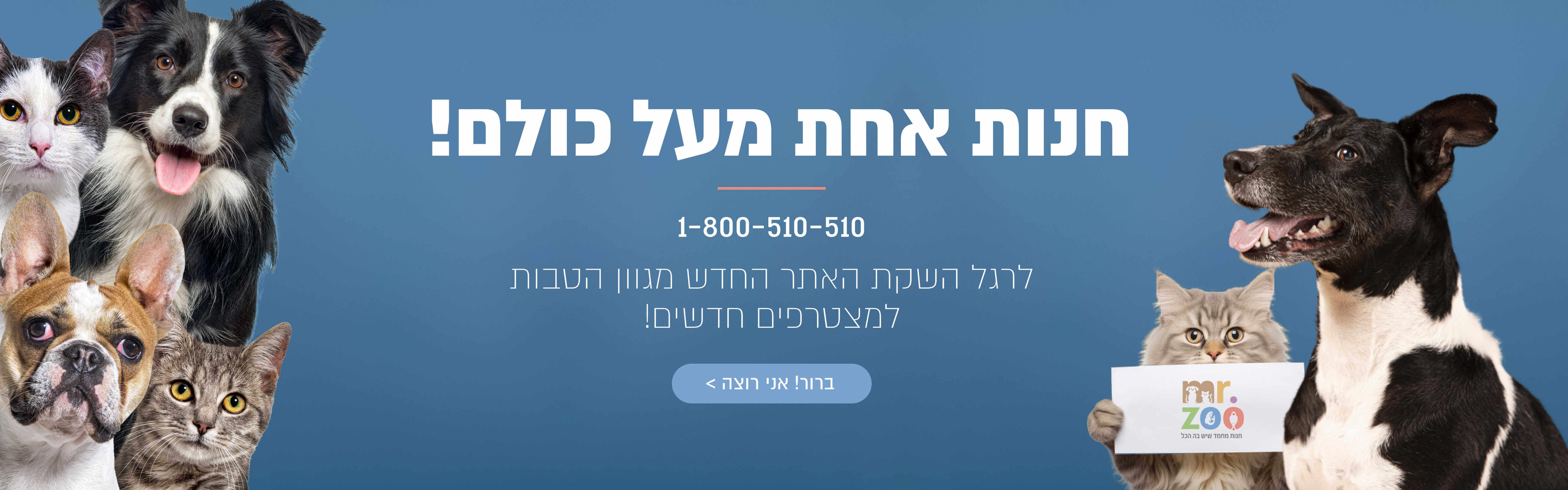 חנות חיות בפתח תקווה עם מגוון מוצרים לכלבים חתולים ובעלי חיים