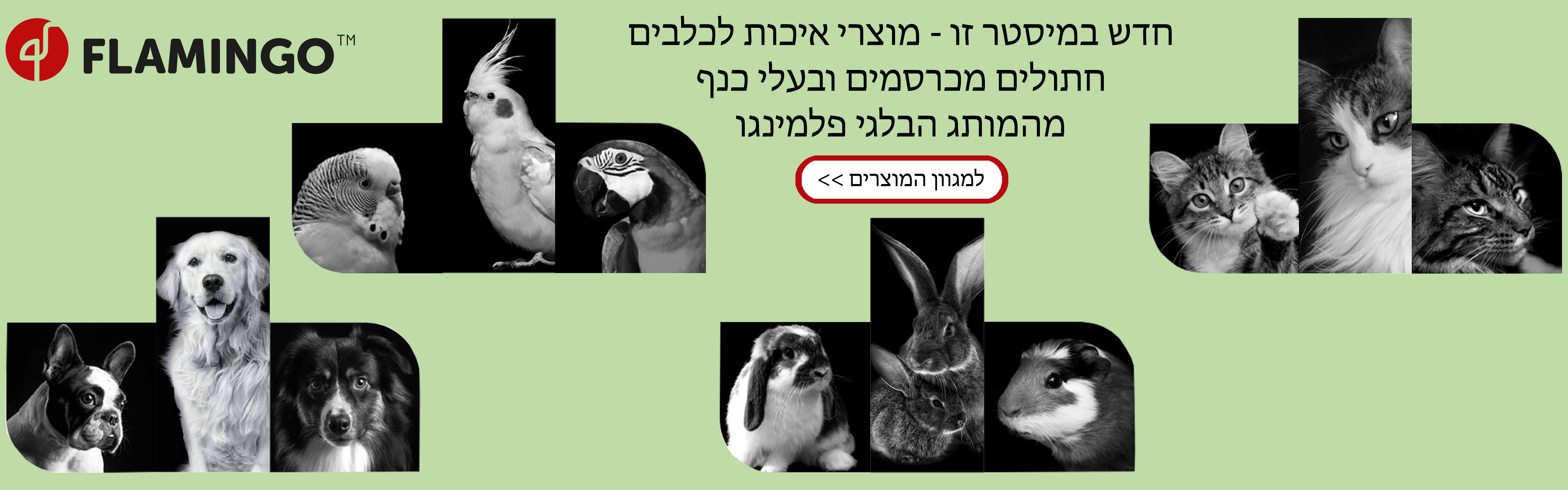 מגוון מוצרי Flamingo לבעלי חיים באתר מיסטר זו