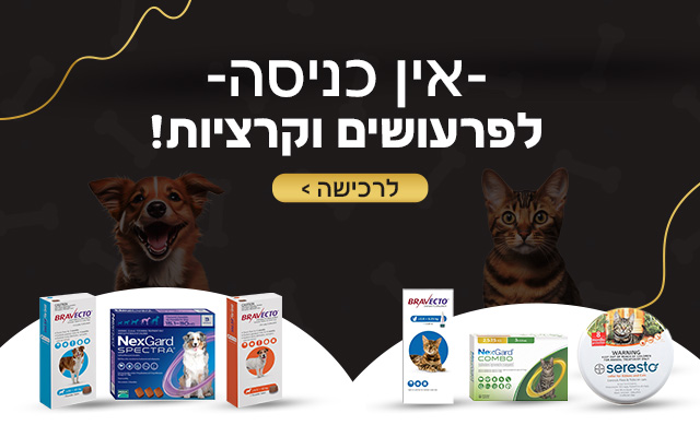 הדברה לכלבים וחתולים