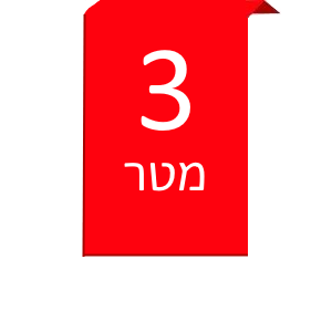 דגל באורך 3 מטר
