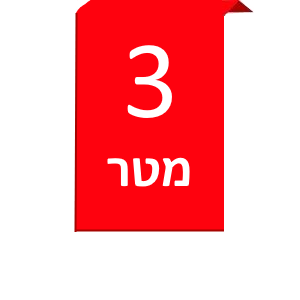 דגל באורך 3 מטר