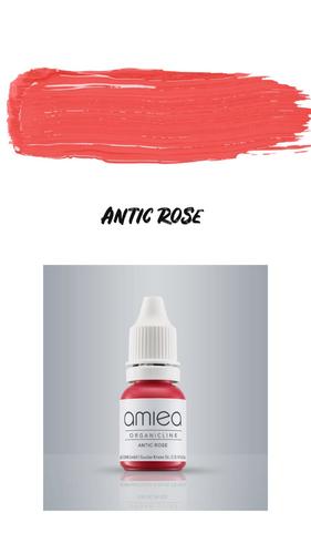 צבע אורגני לשפתיים - ANTIC ROSE